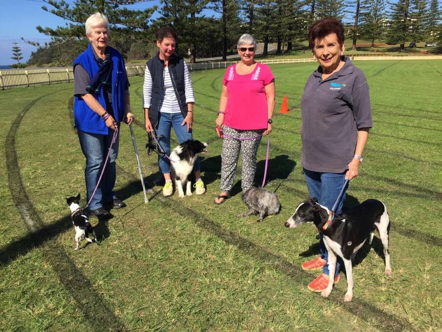 Ready to walk: Margaret Donnelly and Lulu, Jeanette Whiteway with Phoebe, Carolyn Stuart with Millie and Anita Fletcher and Kyro.