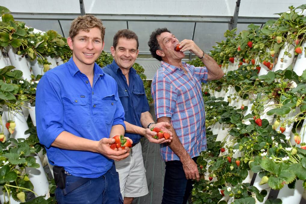 Taste test: Ricardoes Tomatoes' Tony and Anthony Sarks with Sydney Weekender host Mike Whitney.