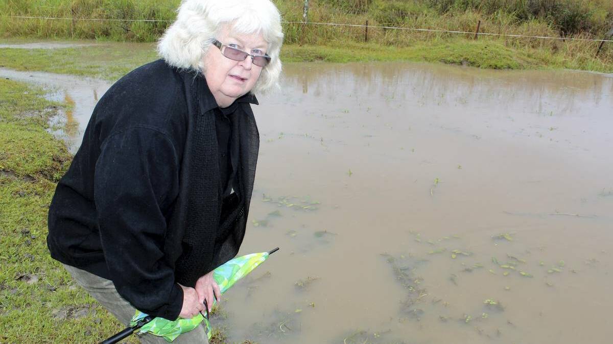 Carol Newman with flooding she said was due to construction work on the Bulahdelah Bypass.  Click the photo for the full story.