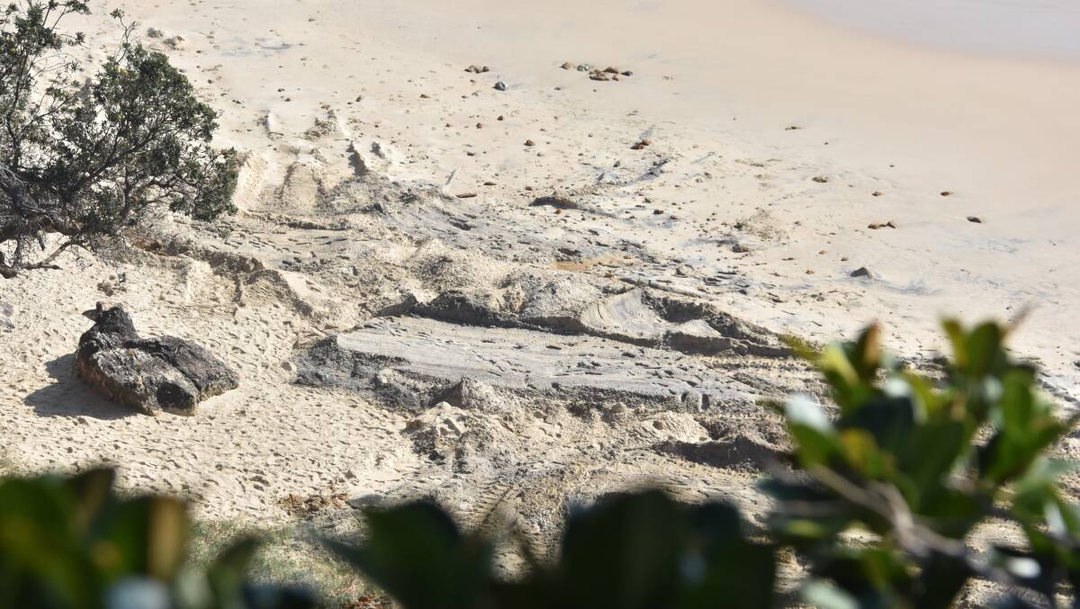 UNDER GROUND: The whale carcass is still buried at Nobby's Beach.