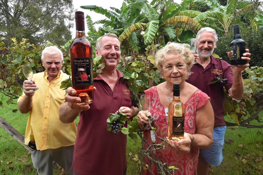 Cheers: Douglas Vale Historic Homestead and Vineyard volunteers Ian Goulding, Mike Smith, Kay Morrison and David Horn are pictured with the original Isabella vine. 
