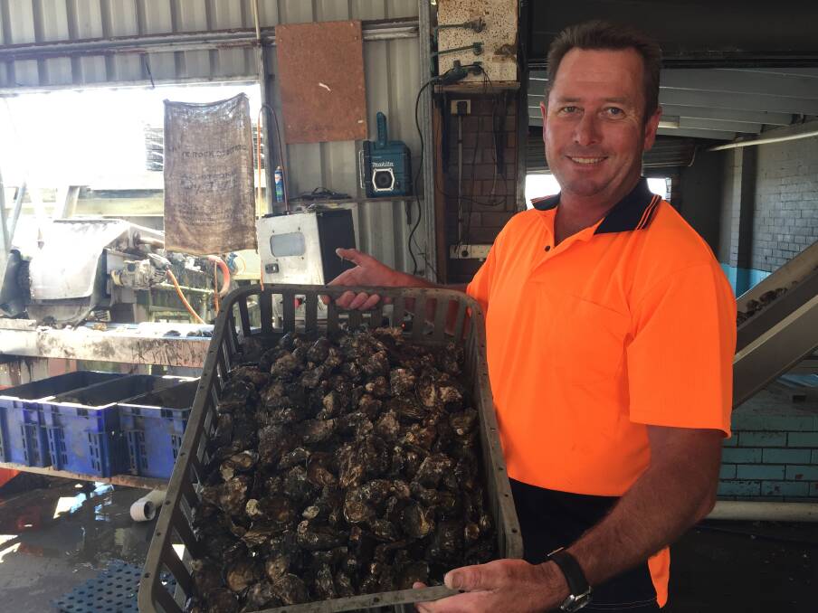 High demand: Jason Armstrong from Armstrong Oysters said NSW farmers are struggling to keep up with the country's high demand for the delicacy. 