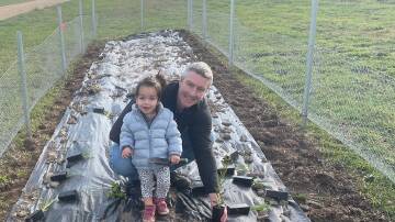 Patrick of Coonawarra owner Luke Tocaciu and Mia, planting an eco-garden to host good bugs at the winery. Photo supplied by Patrick of Coonawarra 