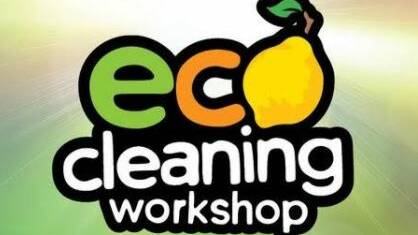 Safer cleaning workshops