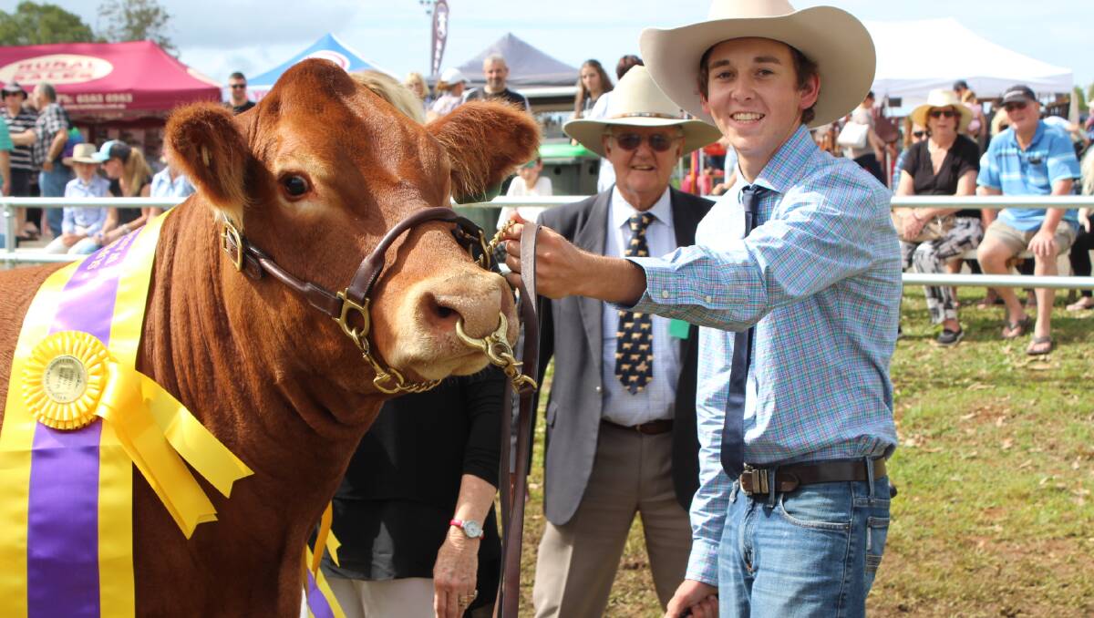 William Saul of Kempsey took out the Supreme Champion of the show title in the beef cattle divsion.