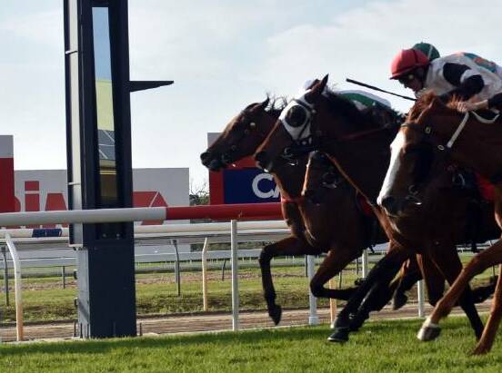 A natural leads top field for racing in Taree