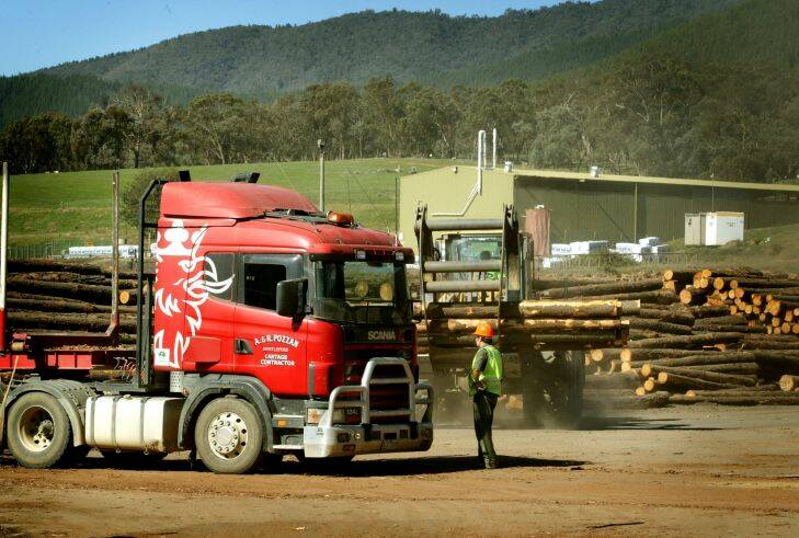 The Carter  Holt Harvey timber mill in Myrtleford is laying off timber workers due to an industry downturn. Age News Pic taken by John Woudstra Sept. 9 2008 Photo: John Woudstra