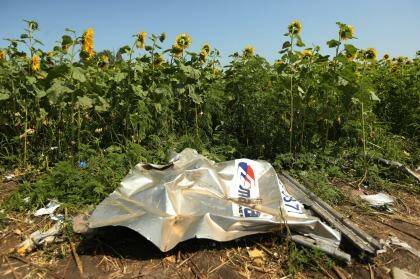 A piece of plane debris at one of the sites where the front section of Malaysian flight MH17 crashed and the pilots bodies were found. Photo: Kate Geraghty