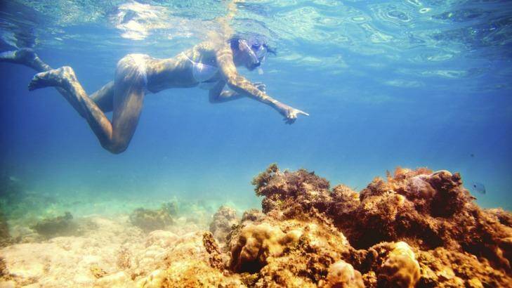 Something to do between meals: Snorkelling in Mauritius. Photo: iStock