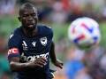 Melbourne Victory clung on for a point against Brisbane, despite the sending-off of Jason Geria. (James Ross/AAP PHOTOS)