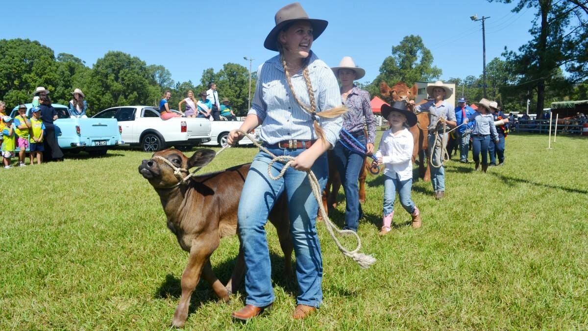 SHOWTIME: Camden Haven Show is preparing to make 2015 bigger and better, with more activities and competitions for locals to show off their talents.