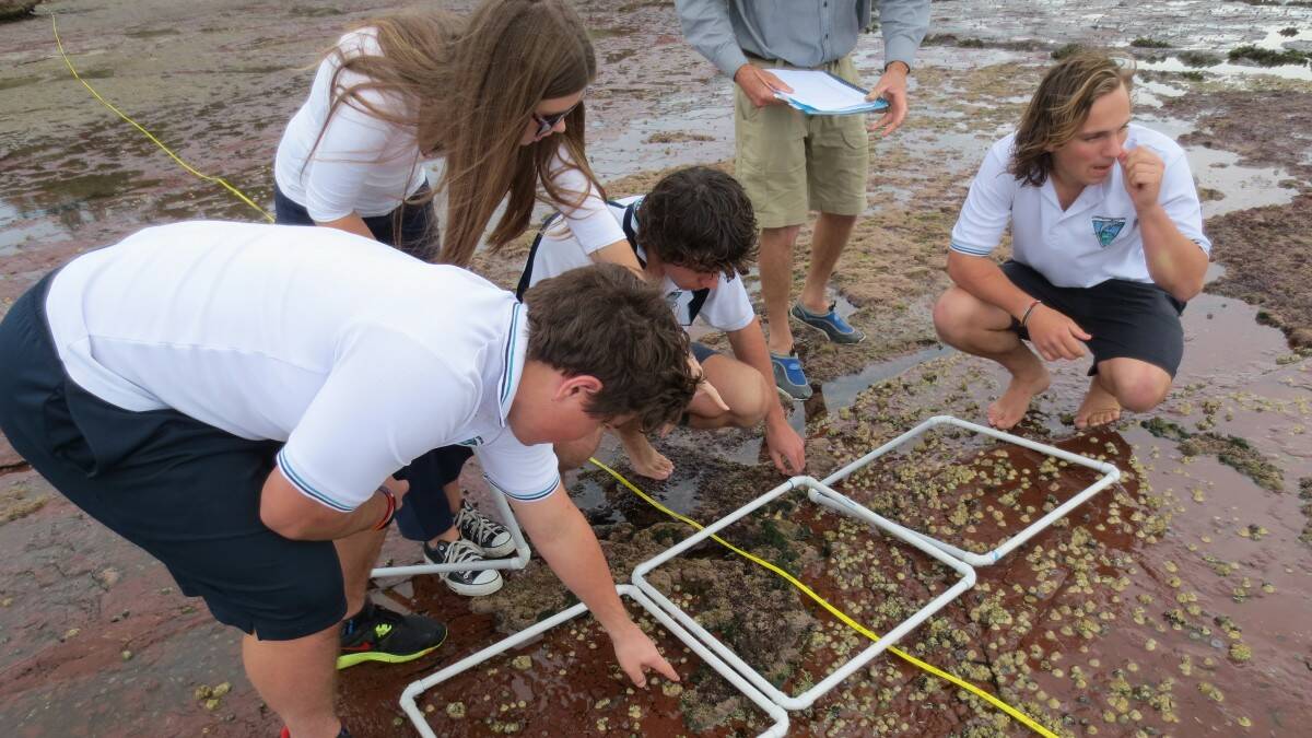 Camden Haven High students part of global climate change study
