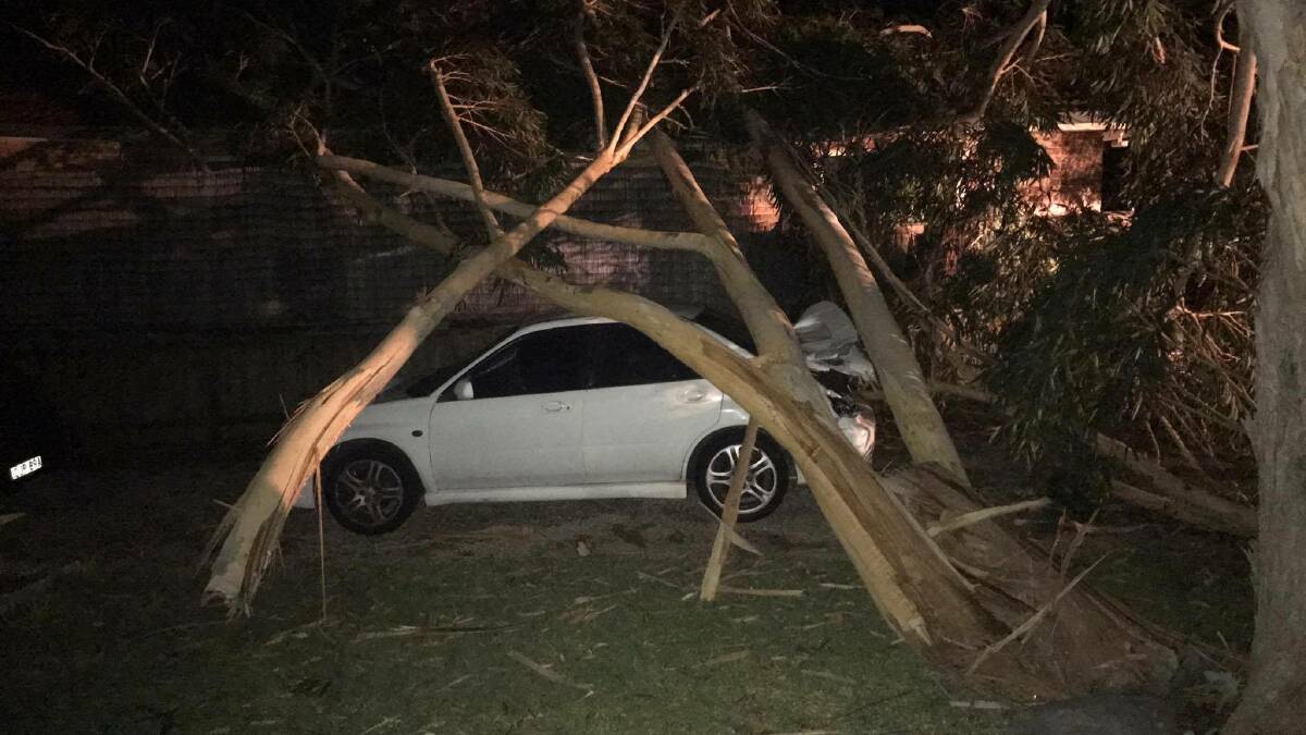 High winds and storm damage in the Camden Haven | Photos