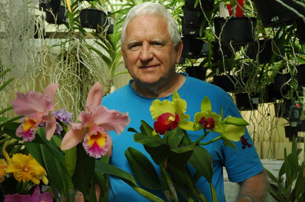 WARM COLOURS: Camden Haven Orchid Society member Wayne Stephensen showing examples of flowers to be on display at the show.