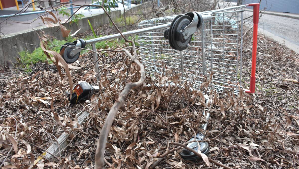 Dumped trolleys impacting the environment