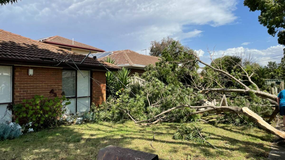 Extreme weather has downed powerlines and trees in Victoria. Picture Powercor