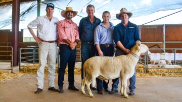 Auctioneer Paul Dooley, Tamworth, Martin Simmons, Elders, Dubbo, Richard Sharpe and Bernadette Binnie, Winton Park SheepMaster stud, Parkes and Charlie Sullivan, Merton Downs SheepMaster Parent stud with the top-priced ram which sold for $5000. Picture by Elka Devney