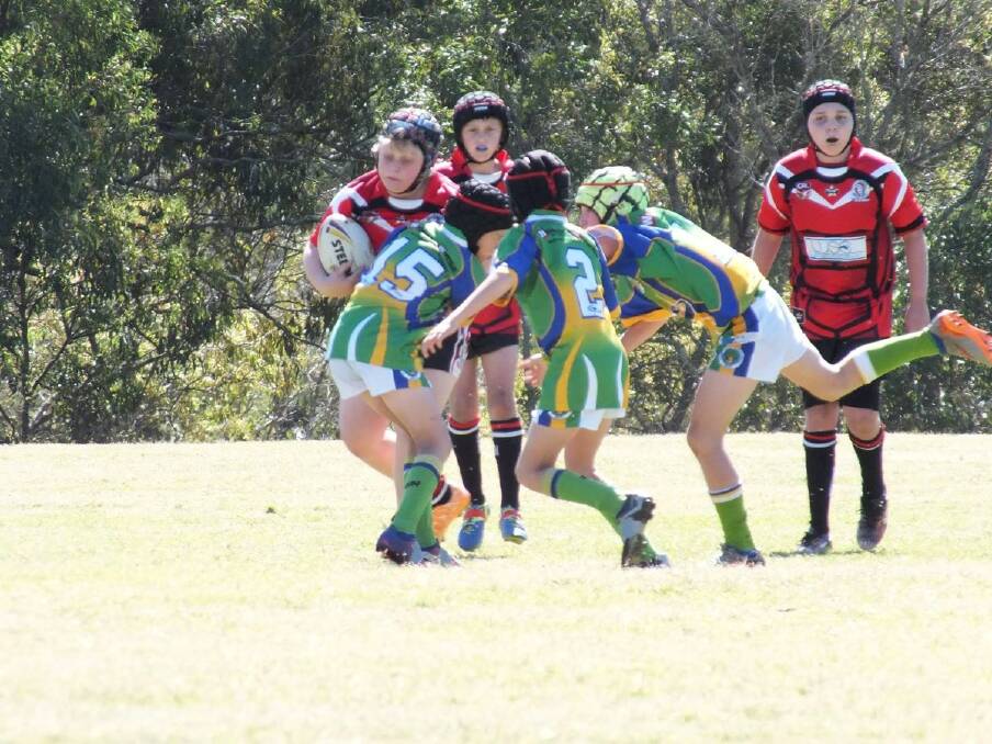 A club on the up: If you would like to play for the Eagles, all boys and girls are welcome. For more simply visit www.playnrl.com.