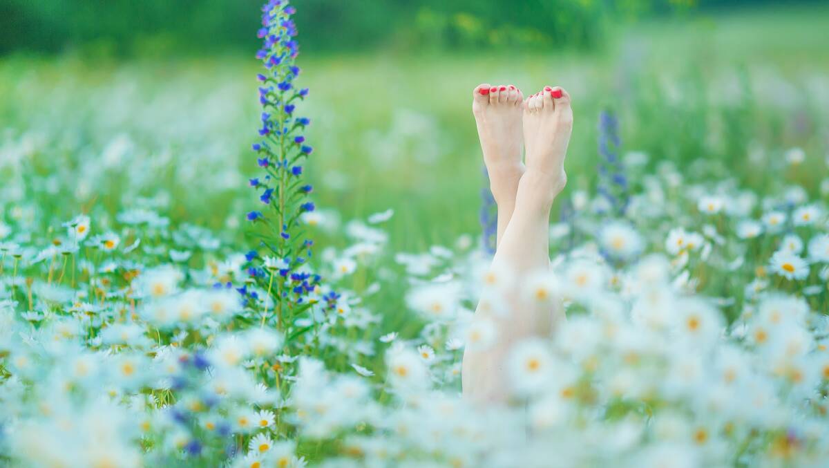 Step into spring:  Get a special pampering for your toes at Shaza's. You can also find all your skin-care, hair-care, manicures and pedicures in one handy spot.
