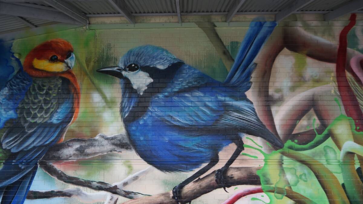  A close up of the Blue Fairy wren that is part of the mural on the Coles, Albany wall.