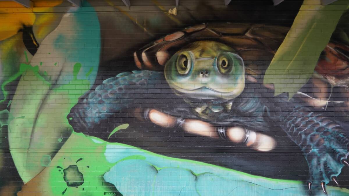 A close up of the Western Swamp Tortoise, also part of the Coles, Albany mural.
