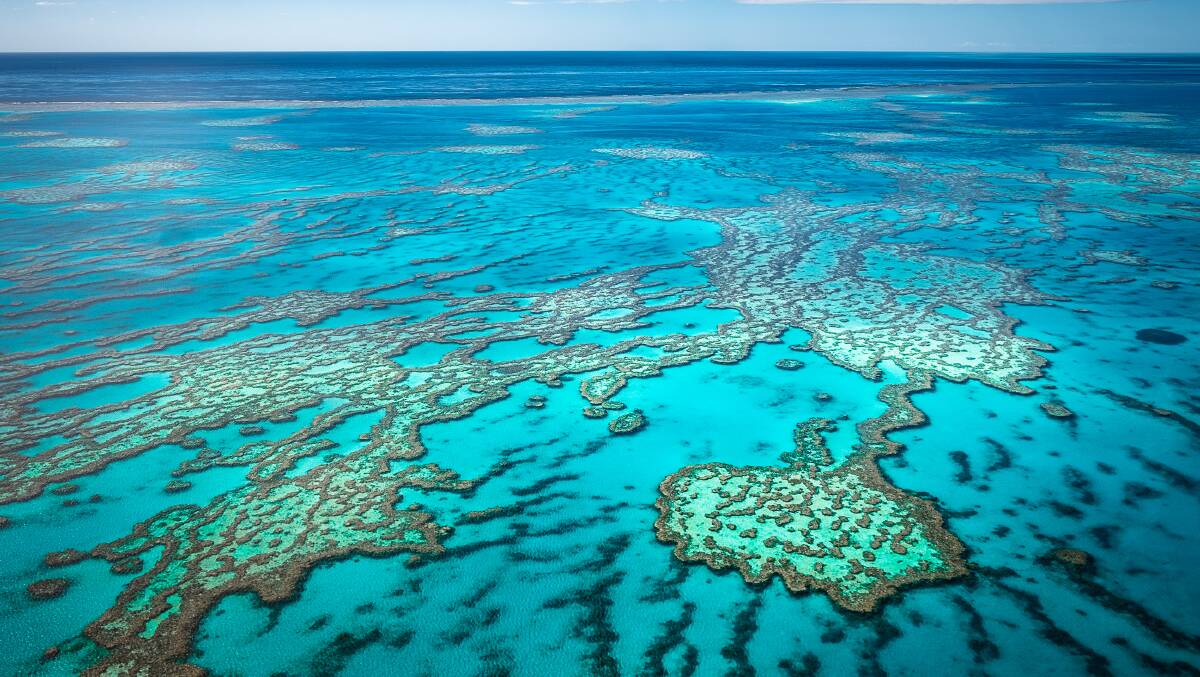 Polling suggests a majority of Australians want a say in decisions that affect the protection of world heritage areas like the Great Barrier Reef. Picture: Shutterstock