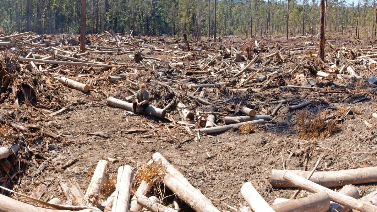 No way: A new group says it opposes the large scale destruction of our forests. Photo: supplied
