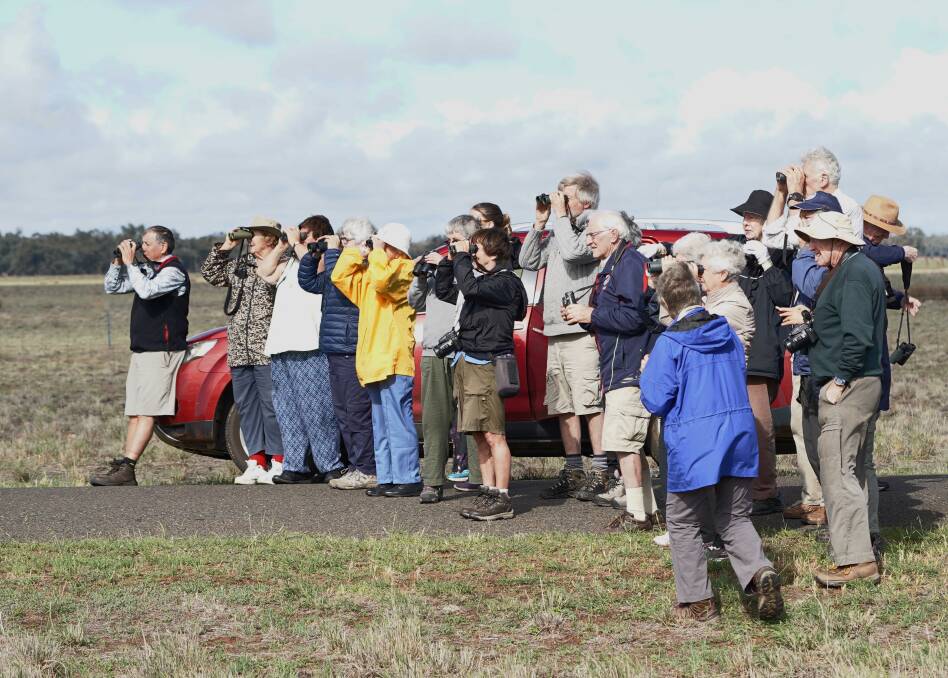 All a flutter: Members of the Hastings Birdwatchers searching for a rare species sighting. Photo supplied