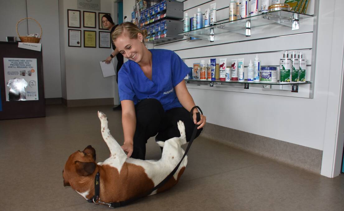 A SAFE DOG IS A HAPPY DOG: Timbertown Vet Hospital nurse Nikki Gibbs enjoying quality time with Charlie.