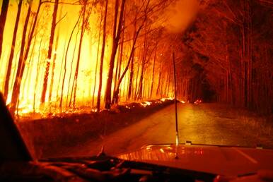 STILL DANGER: Despite the Bushfire Danger Period ending Fire and Rescue NSW still require fire permits in urban areas.