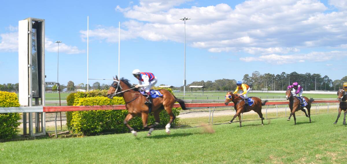 CHAMPION: Jockey Peter Graham rides home I Am Dynamic to claim the first race at last year's Old Boys Day meeting.