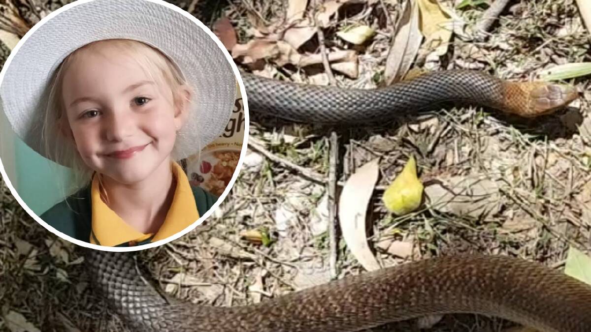 She thought it was her cat's tail. It was a deadly snake