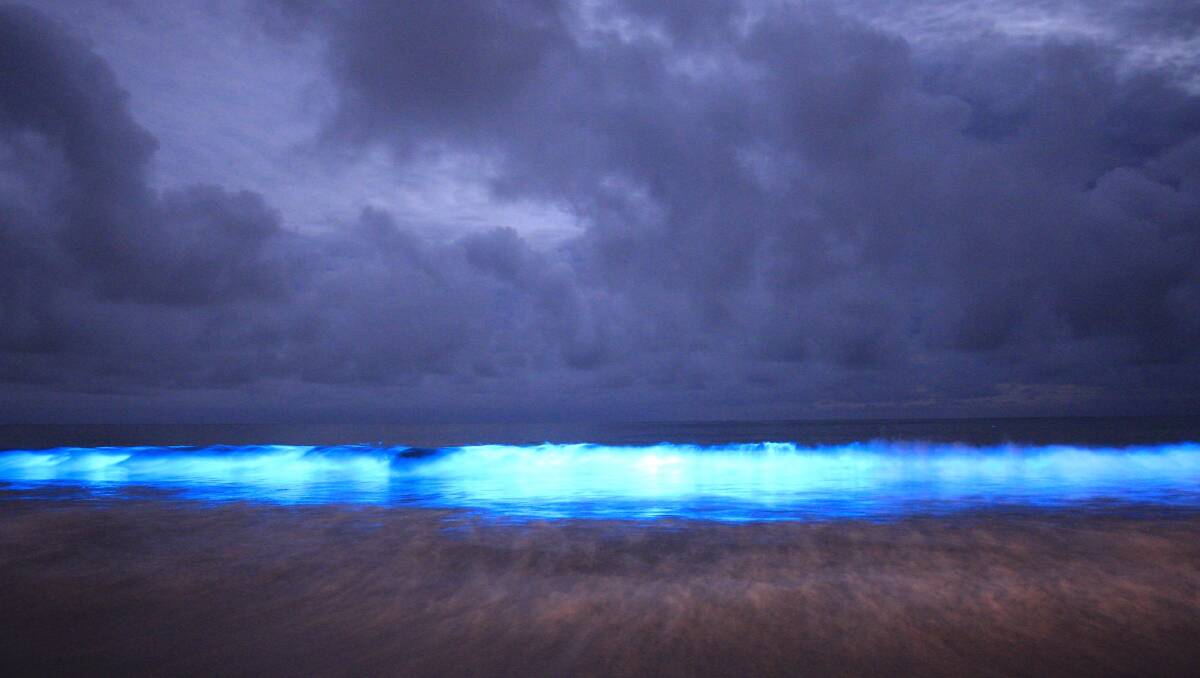 Blue crush: A crashing bioluminescent wave at Preservation Bay. Picture: Sarah Kubank