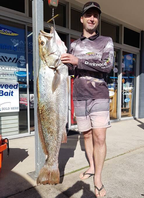 ON THE HOOK: Our Berkley pic of the week is of Matt Hutchison, who recently caught this terrific 26.300 kilo mulloway off Bonny Hills on a Darkwood jewie lure.