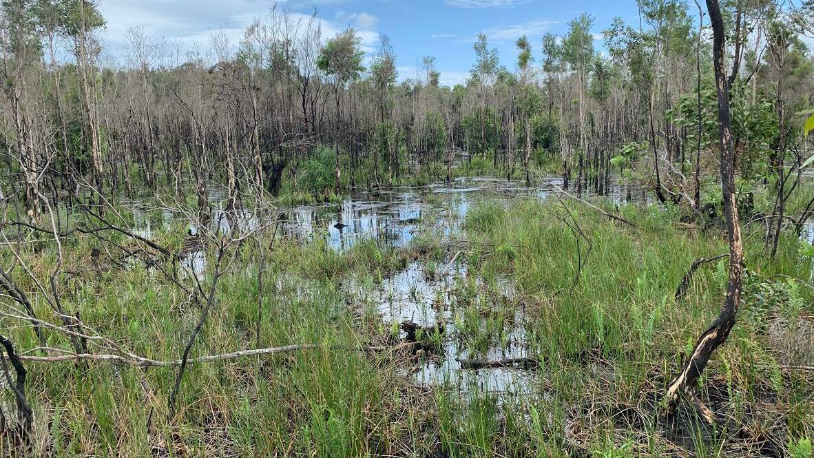 Area of the wetland south west of Port Macquarie Airport after the recent rain. Photo: Rural Fire Service
