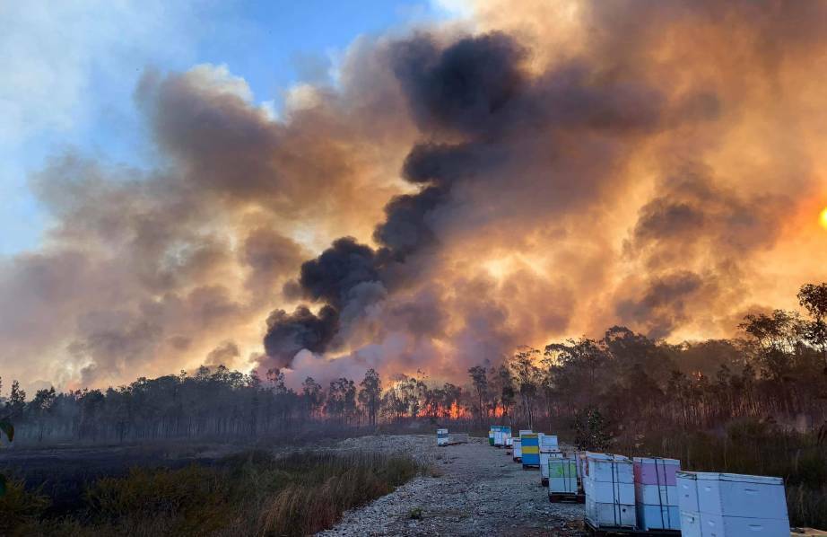 Ongoing: The Lindfield Park Road fire began more than six months ago. Photo: Sancrox/Thrumster Rural Fire Brigade.