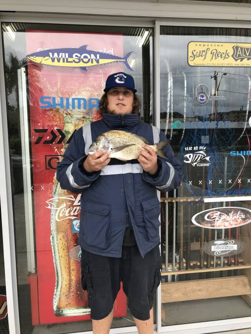 Tasty: Our Berkley Pic of the Week is Josh Duncan with this terrific 1.23 kilogram bream he 
recently caught off Lady Nelson Wharf. 
 