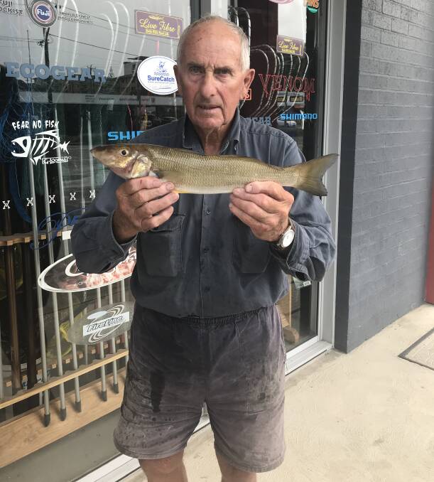 Good meal: Our Berkley Pic of the Week is Bill Marchment with his terrific Limeburners Creek whiting which pulls the scales down to 650 grams.