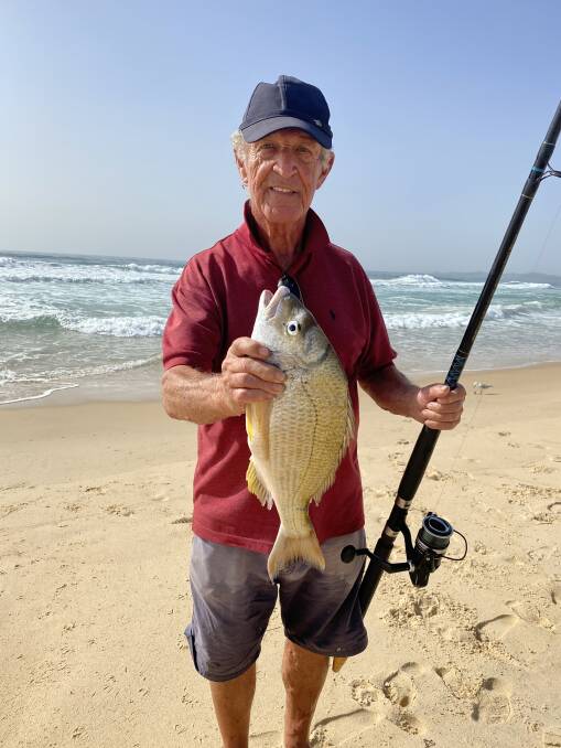 Our Berkley Pic of the Week is Ken Myles with this terrific bream he recently scored while throwing a line in at North Beach. Photo supplied