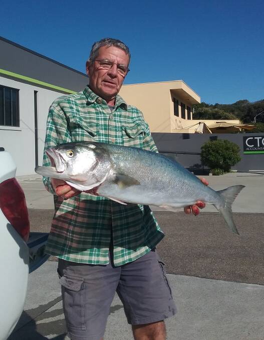 Good size: Our Berkley Pic of the Week is tailor guru Rob Atkins, who recently caught this terrific 4.85 kilogram greenback from South Beach.