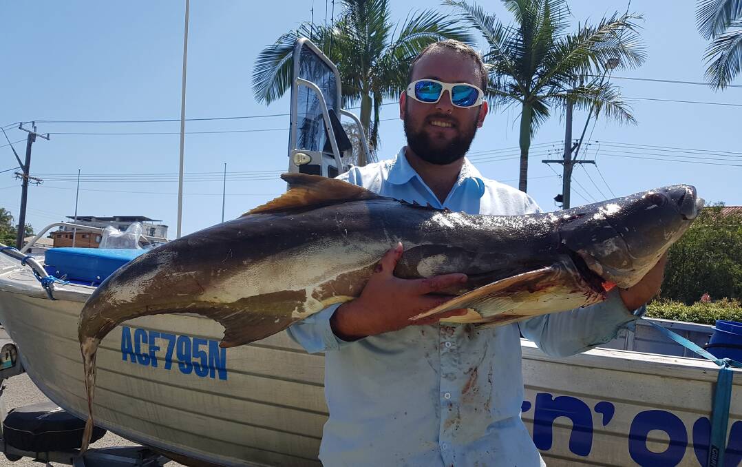 Ripper: Our Berkley pic of the week is Daniel Rowe with this terrific 23.75 kilo cobia he recently caught off Delicate Nobby, slow trolling a live bait.