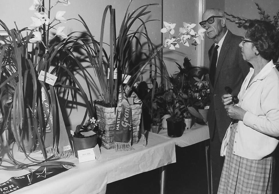 Blooming beautiful: Mrs and Mrs Syvret admire Ron Towells grand champion cymbidium at the Hastings River Orchid Society Show, 1969. Photo supplied by Port Macquarie Museum.