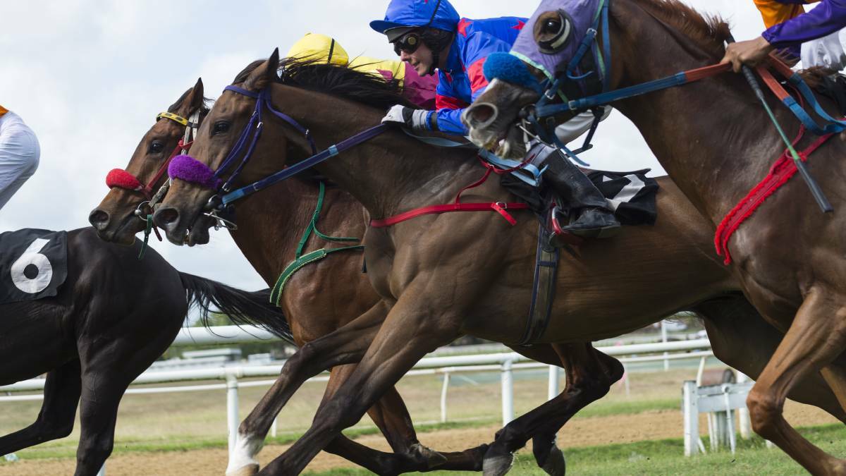 Racing: Port Macquarie Race Club's first race meet of 2021 is on today.