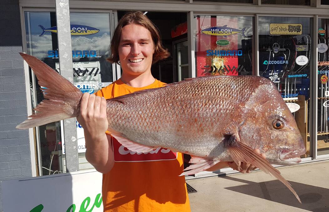 Whopper: Our Berkley pic of the week is Brad Magann with this sensational 8.70 kilogram cleaned snapper he recently offshore at Port Macquarie.