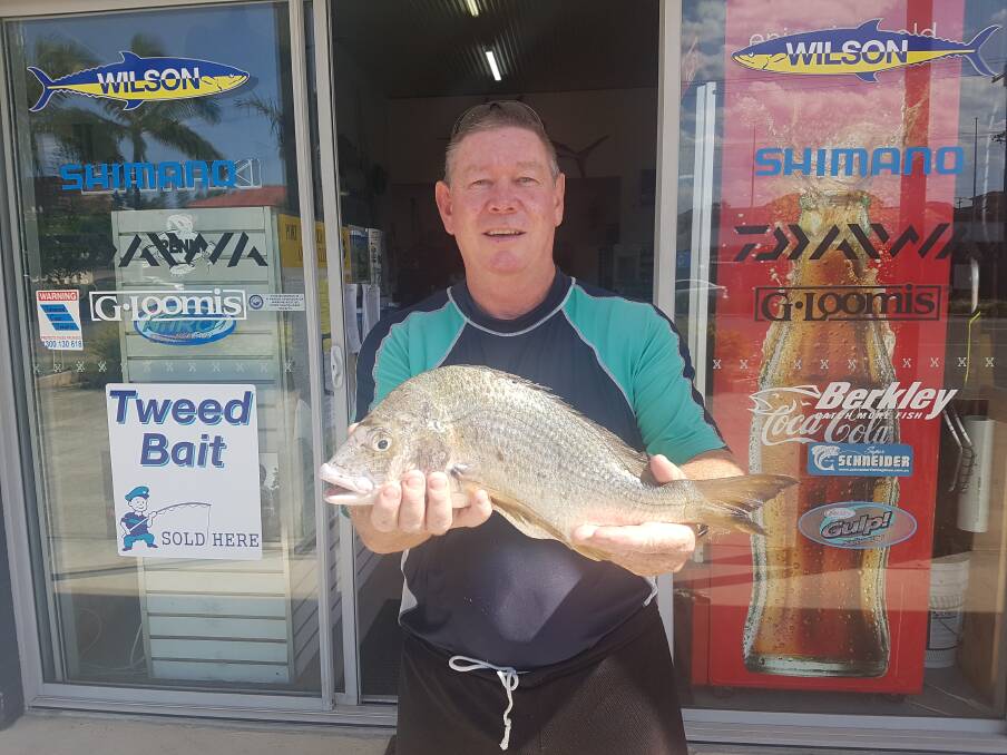 Still wriggling: Our Berkley Pic of the Week is Jim Krahe with a 1.31 kilogram live bream he recently caught, weighed and quickly released back into the Hastings River. 