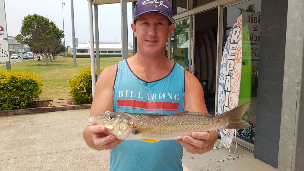 Our Berkley Pic of the Week is Ben Davis with this terrific 710 gram whiting he recently caught near Settlement Point on a yabbie. Photo supplied