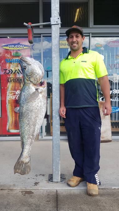 Head for the river: Our Berkley Pic of the Week is Aaron Willoughby with this sensational 26.77 kilogram mulloway he recently caught in the Hastings River.