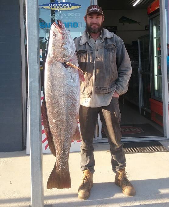 Monster: Our Berkley Pic of the Week is Shane Hockey with this terrific 25.8 kilogram mulloway he recently caught off the north wall on a whole squid.