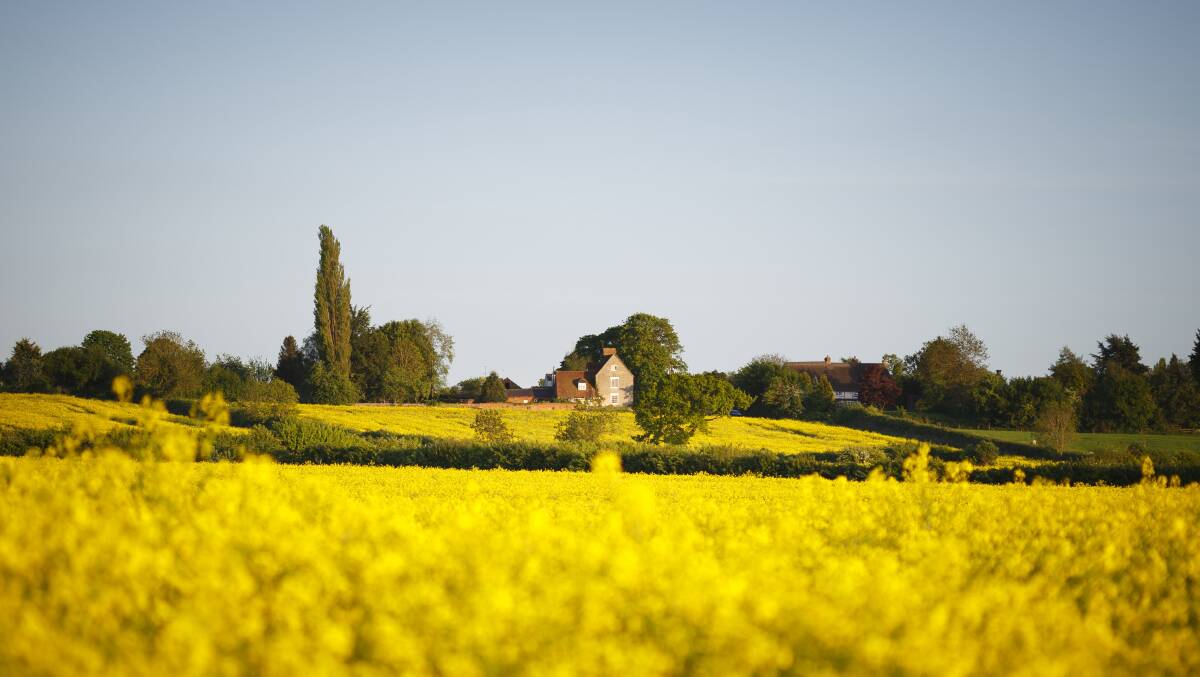 An innovative example was a travel company that took Asian tourists to an English farm when the canola fields were ablaze with yellow flowers, creating dramatic vistas.