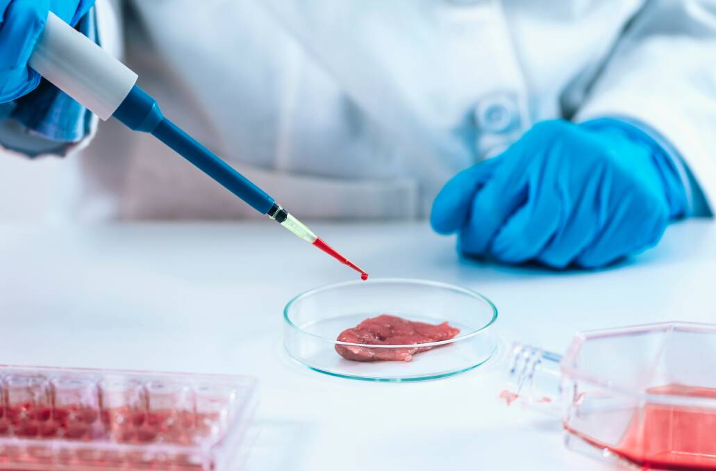 The first lab-grown meat factory in the world has just opened in Israel. Picture: Shutterstock.